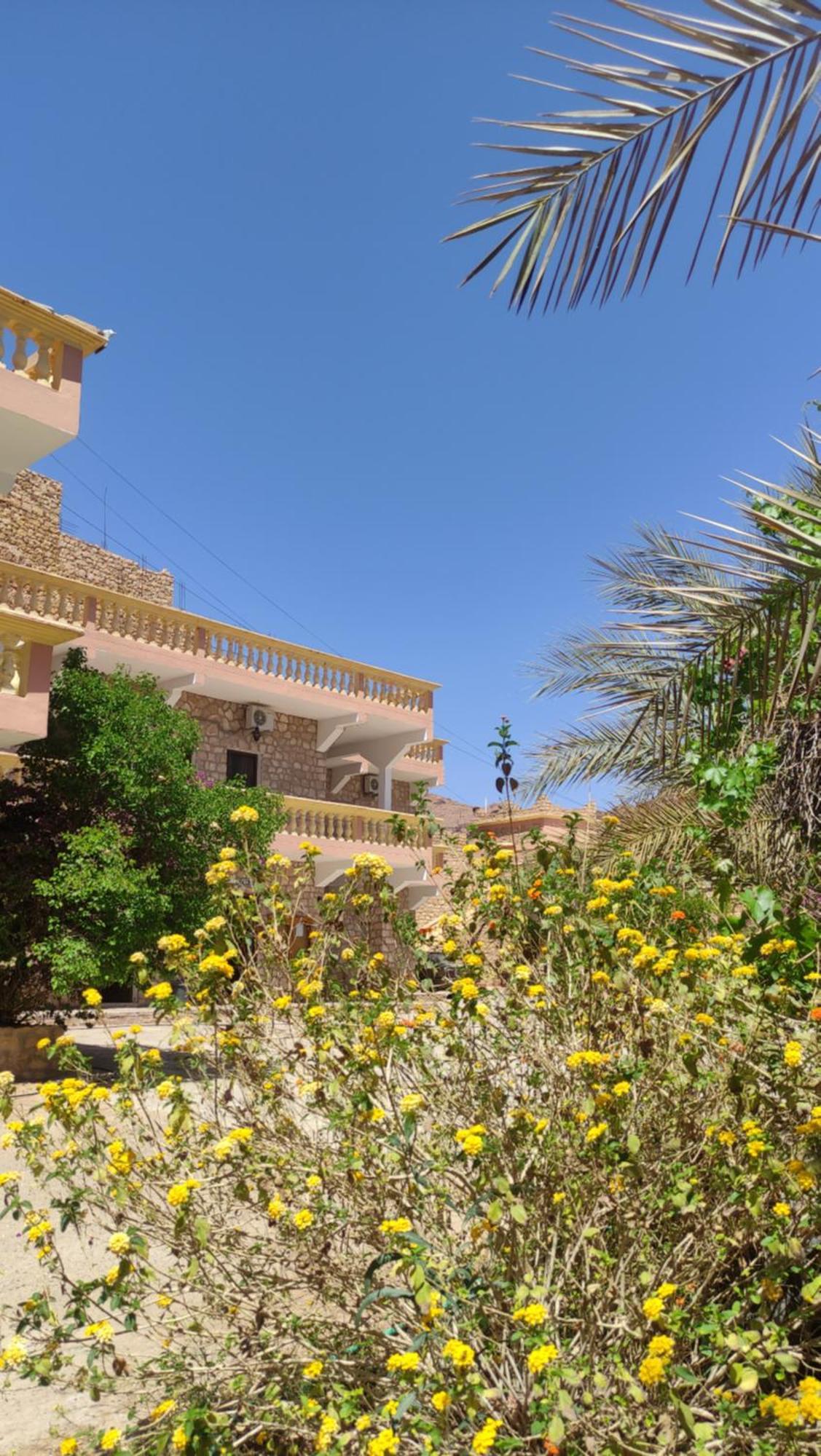 Hotel Camping Le Soleil タンギール エクステリア 写真